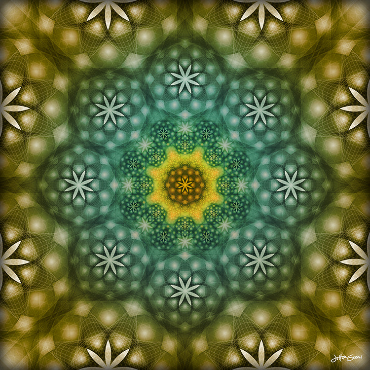 The Seed